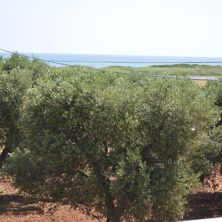 Le Terrazze Miramare B&B Torre Canne Exteriér fotografie
